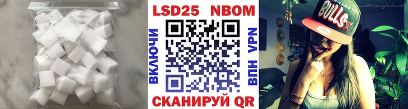 где найти Старая Русса LSD-25 экстази ecstasy