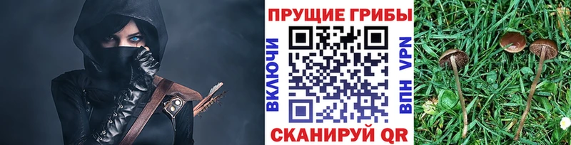 где купить наркотик сайты даркнета телеграм Галлюциногенные грибы GOLDEN TEACHER Старая Русса