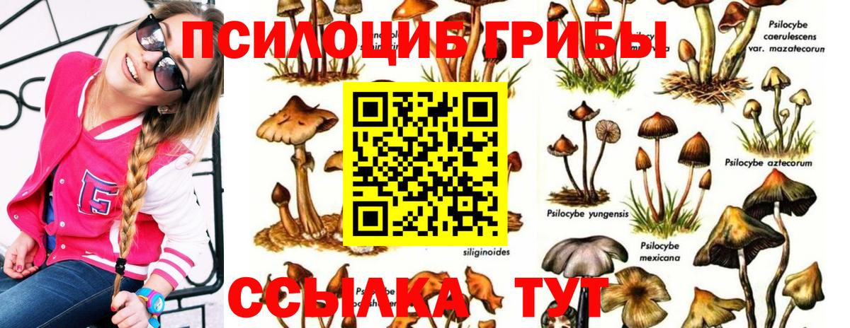 Псилоцибиновые грибы ЛСД  Вход с VPN  Старая Русса 